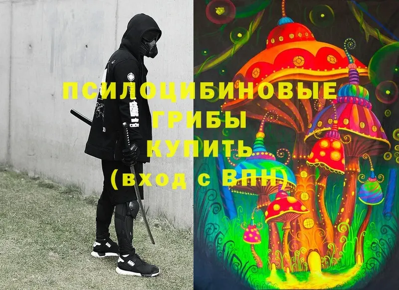 Галлюциногенные грибы Psilocybe  Петухово 